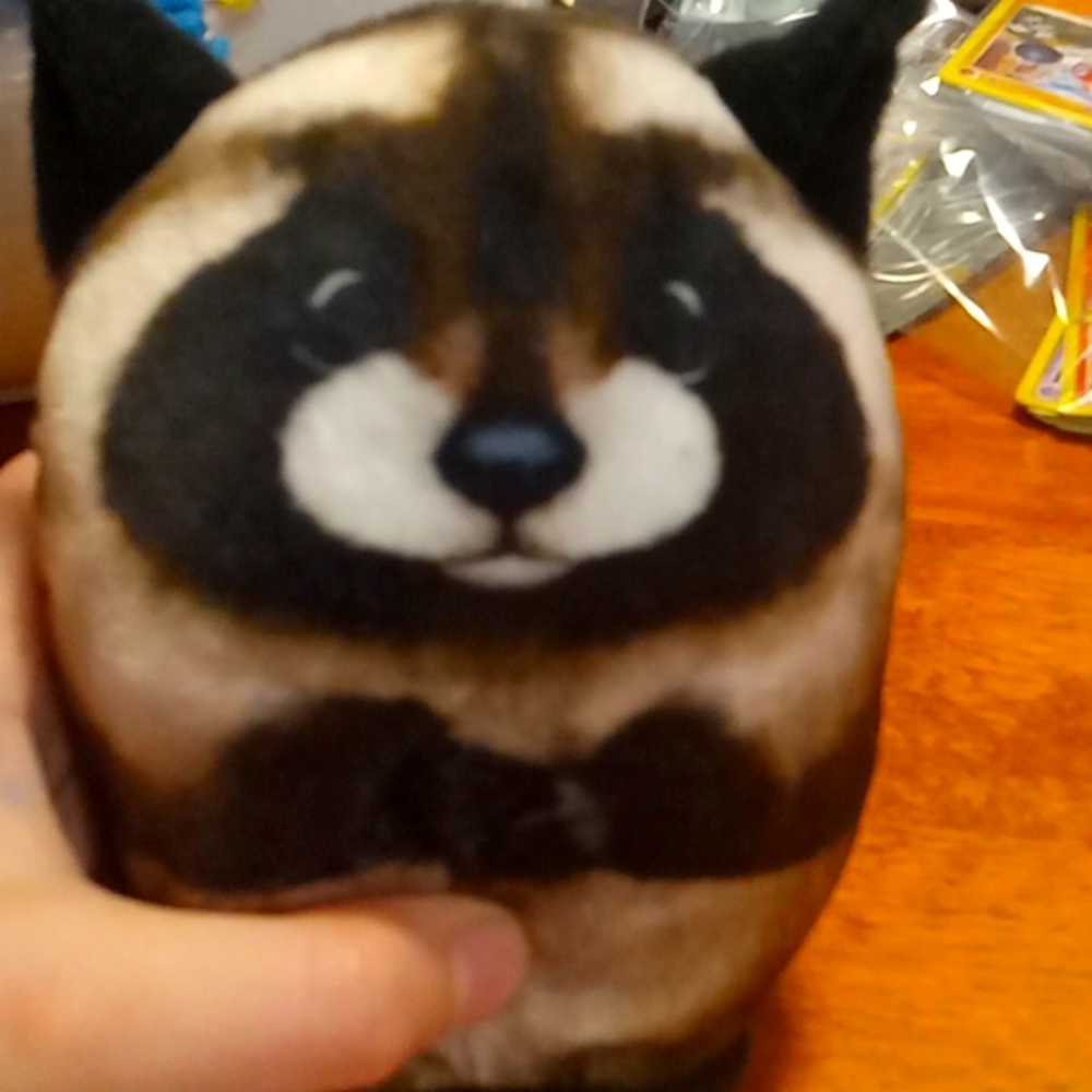 Raccoon stuffy